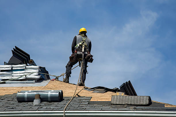 Professional Roof Replacement technician working in Demotte, IN